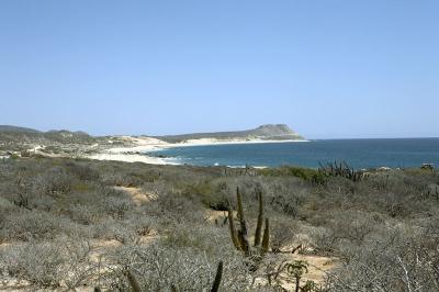 04465_Baja_5D.jpg
