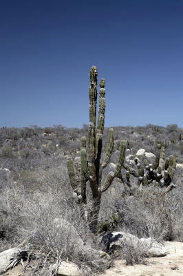04587_Baja_5D.jpg