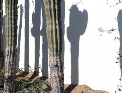 04614_Baja_5D.jpg