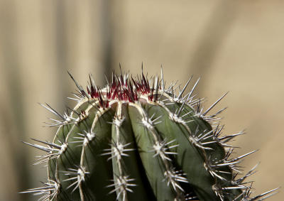 26607_Baja_1D.jpg