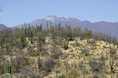 26993_Baja_1D.jpg