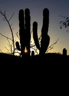 27045_Baja_1D.jpg