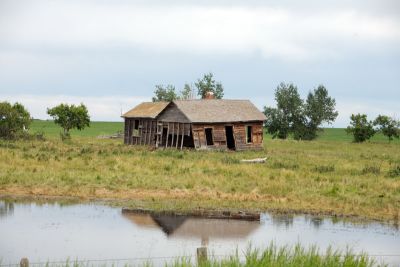 10278_Jul06_5D.jpg