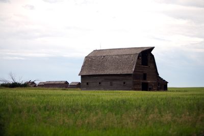 10307_Jul06_5D.jpg