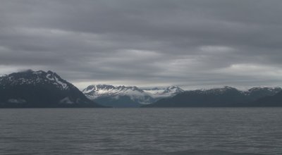 manip_7d_IMG_0732-2.JPG