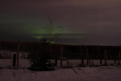 aurora-IMG_5326-2.JPG