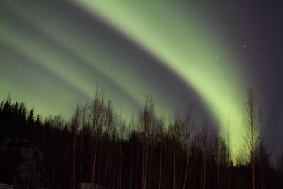 manip_IMG_5390.JPG