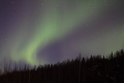 manip_IMG_5401.JPG