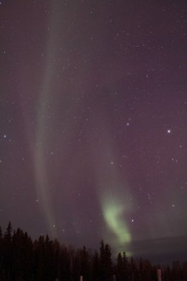 manip_IMG_5572-2.jpg
