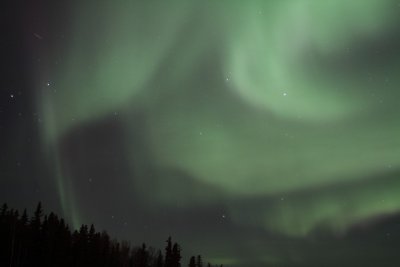 manip_IMG_5586.JPG