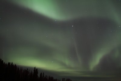manip_IMG_5596.JPG
