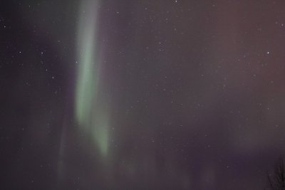 manip_IMG_5618-2.jpg