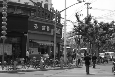 manip_IMG_5828-2.jpg