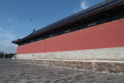 manip_IMG_7529.JPG
