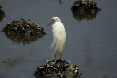 manip_IMG_7724.JPG