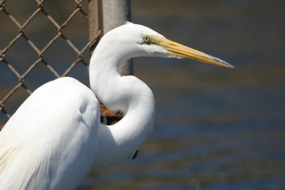 manip_IMG_9140.JPG