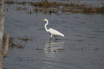 manip_IMG_0462.JPG