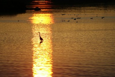 manip_IMG_8197.JPG