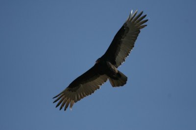 manip_IMG_7957.JPG