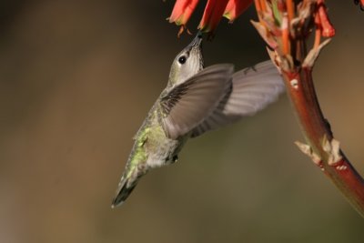 manip_IMG_9807.JPG
