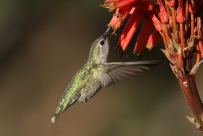 manip_IMG_9814.JPG