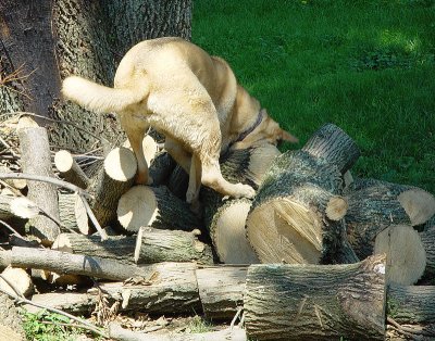 Precarious