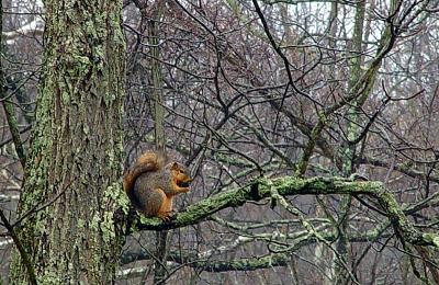 Nuts About You