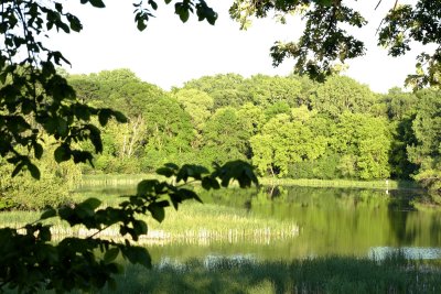An evening in May