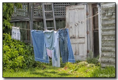Ubiquitous Laundry