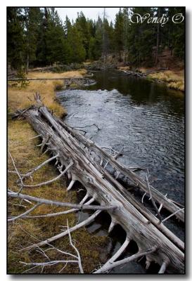 Yellowstone