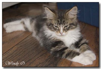 Beulah 10 weeks
