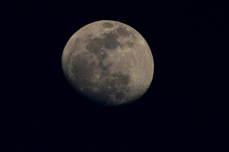IMG_0812 copy.jpg