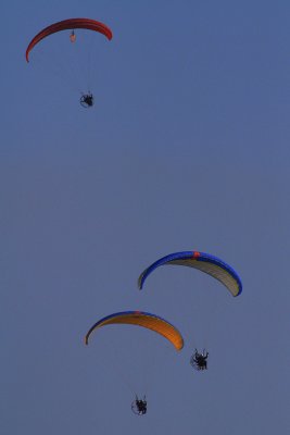 g4/18/313818/3/137830448.7KmzzJTa.jpg