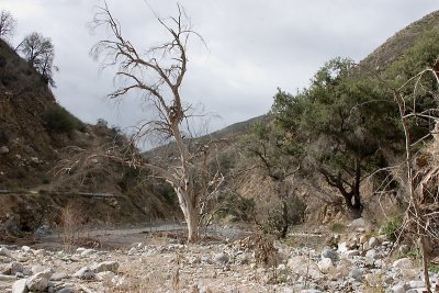 CRW_7889.jpg