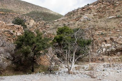 CRW_7892.jpg