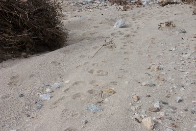 CRW_7903.jpg