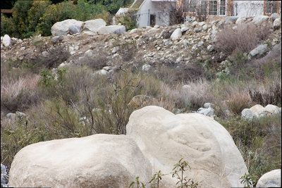 CRW_7904.jpg