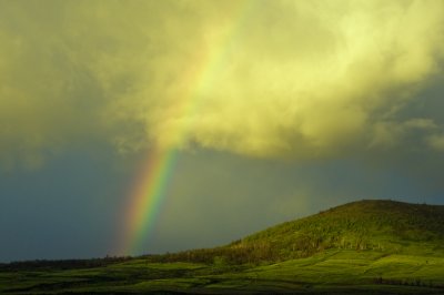 1454-Rainbow-Up-Country-Maui.jpg