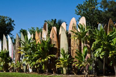 1554-Surfboard-Fence.jpg