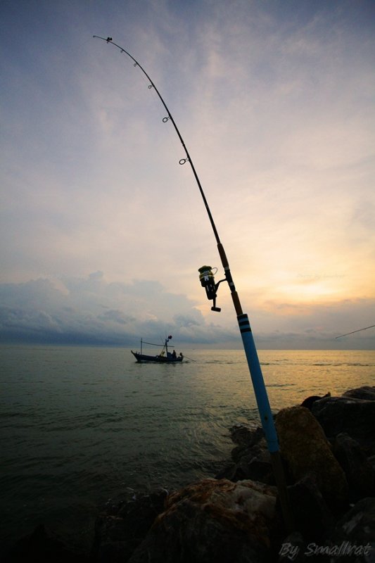 Fishing at morning
