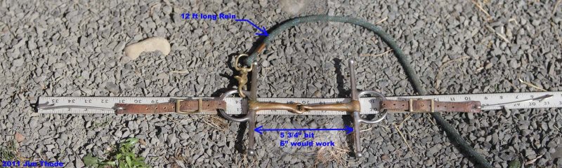 IMG_6274a.jpg