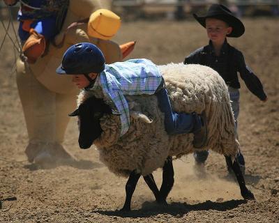 Mutton Bustin