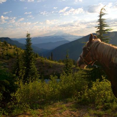 Mt. Rainer form Goat Mtn.