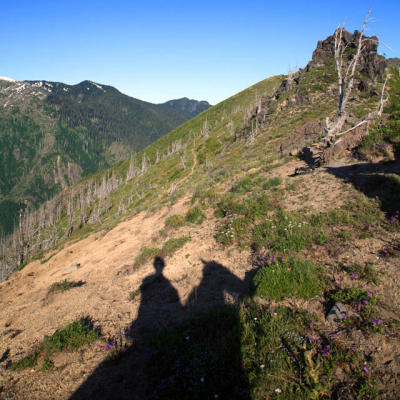 Goat Mtn looking west, July 2006