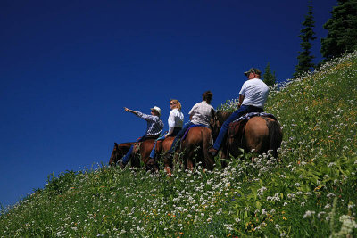 On the hill  (Tatoosh Ridge)