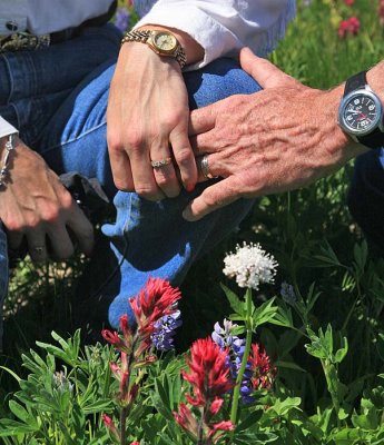Flowers and hands