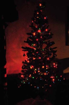 Our Italian Christmas Tree