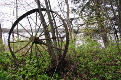 Wheel of Fortune
