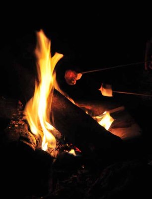 Smores Cap The Evening