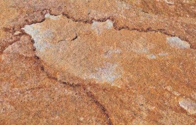 Image in the Rocks